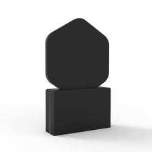 Load image into Gallery viewer, Paramount Achievement Award Backside View
